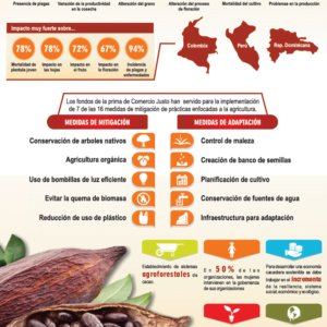 Infografía Impacto del Cambio Climático en el cultivo de cacao en los últimos 20 años