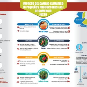 Infografía Impacto del Cambio Climático en pequeños productores(as) de Comercio Justo