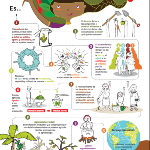 Infografía La soberanía alimentaria y el Comercio Justo