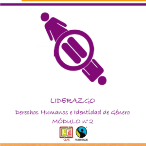 Tema 2 Derechos Humanos y género