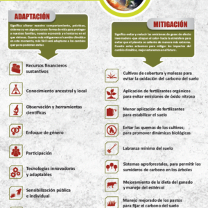 Infografía cambio climático: Conceptos de adaptación y mitigación